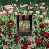 SEKAI CANDLE - MAHOGANY ROSE