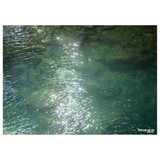 POST CARD BUNDLE - NATURES INSPIRATIONS