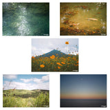 POST CARD BUNDLE - NATURES INSPIRATIONS