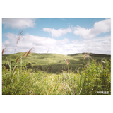 POST CARD - PEACEFUL HORIZONS
