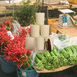 VOTIVE CANDLE REFILLS - CACTUS BLOSSOM