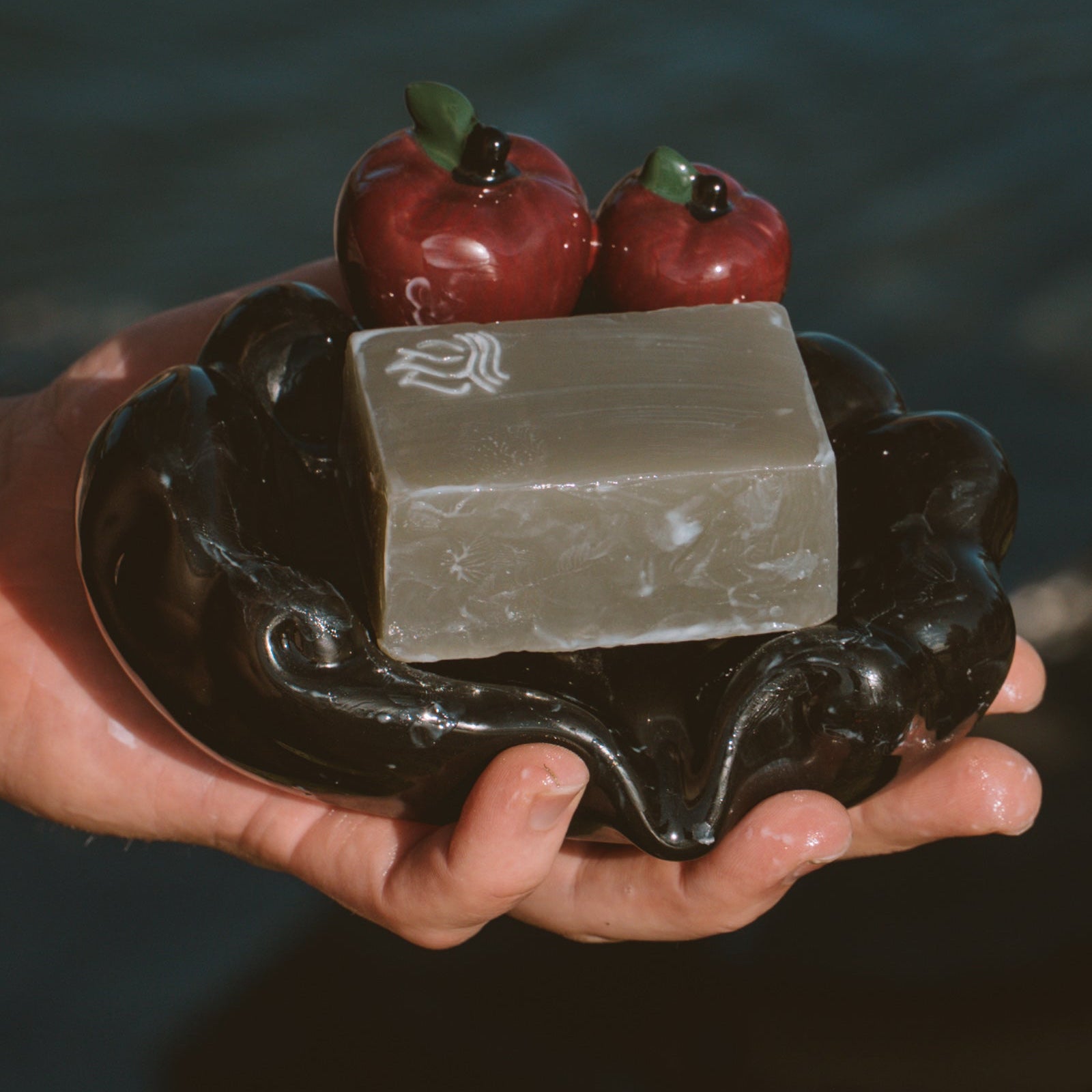 Hand holding a soapstone dish with a bar of soap and two red apples against a blurred natural background.
