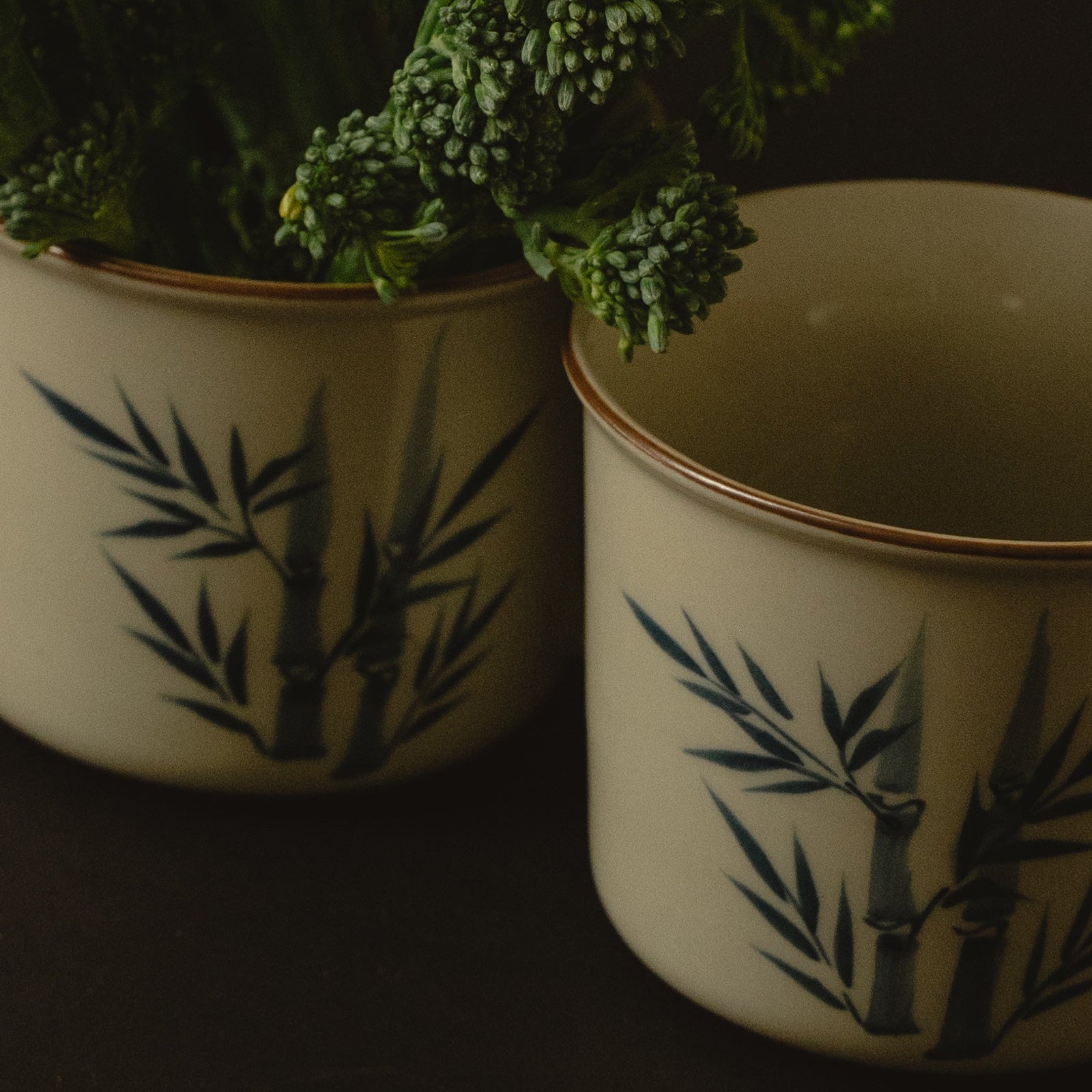 Two ceramic pots with green plants on a dark background